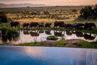 Photo of the day: Serengeti, Tanzania 

akinmade.com/photos

#photoftheday #travelphotography @fsserengeti