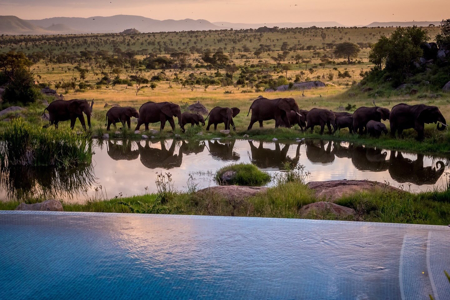 Photo of the day: Serengeti, Tanzania 

akinmade.com/photos

#photoftheday #travelphotography @fsserengeti