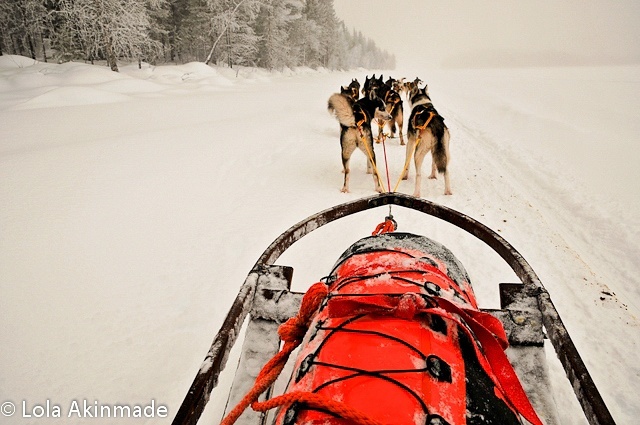 Photos from Jokkmokk, Arctic Sweden - Dogsledding Photography by Lola Akinmade Photos from Jokkmokk, Arctic Sweden - Dogsledding Photography by Lola Akinmade
