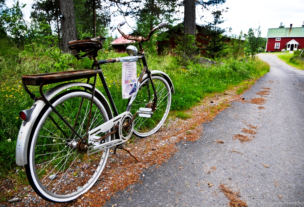 Photography from Northern Sweden by Lola Akinmade Åkerström 