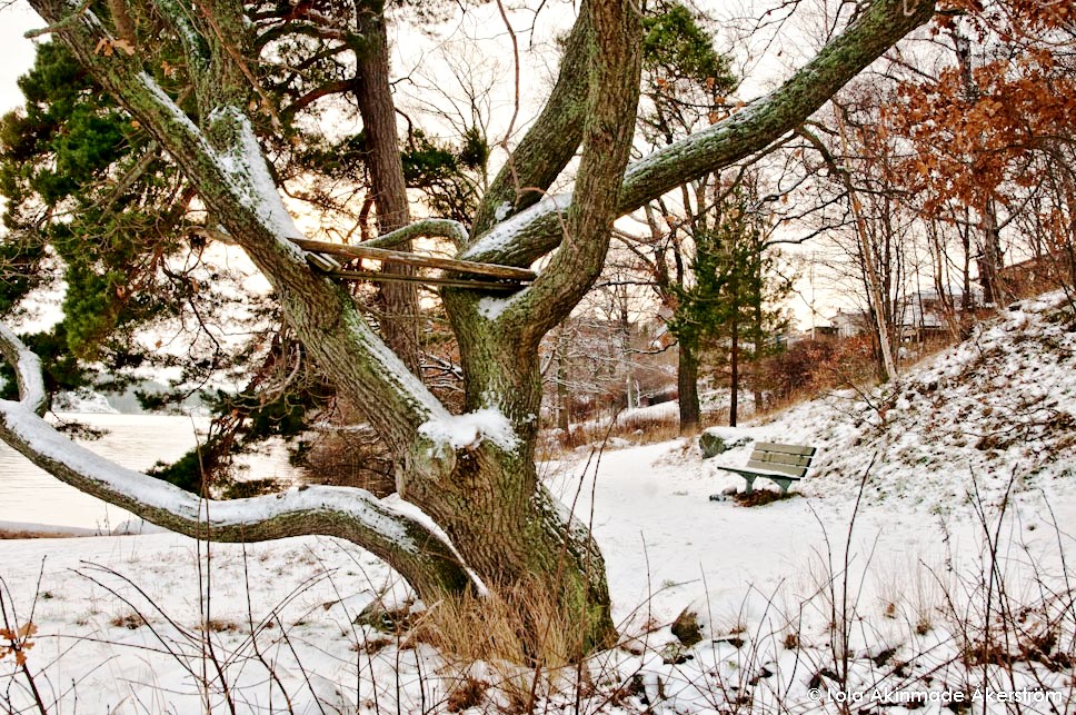 Winter Hibernation in Stockholm's Archipelago - Photography by Lola Akinmade Åkerström