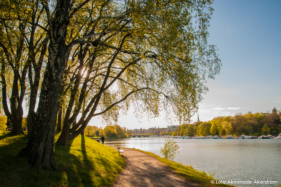 Djurgarden - Summer in Stockholm - Outdoor landscape photography by Lola Akinmade Åkerström Djurgarden - Summer in Stockholm - Outdoor landscape photography by Lola Akinmade Åkerström