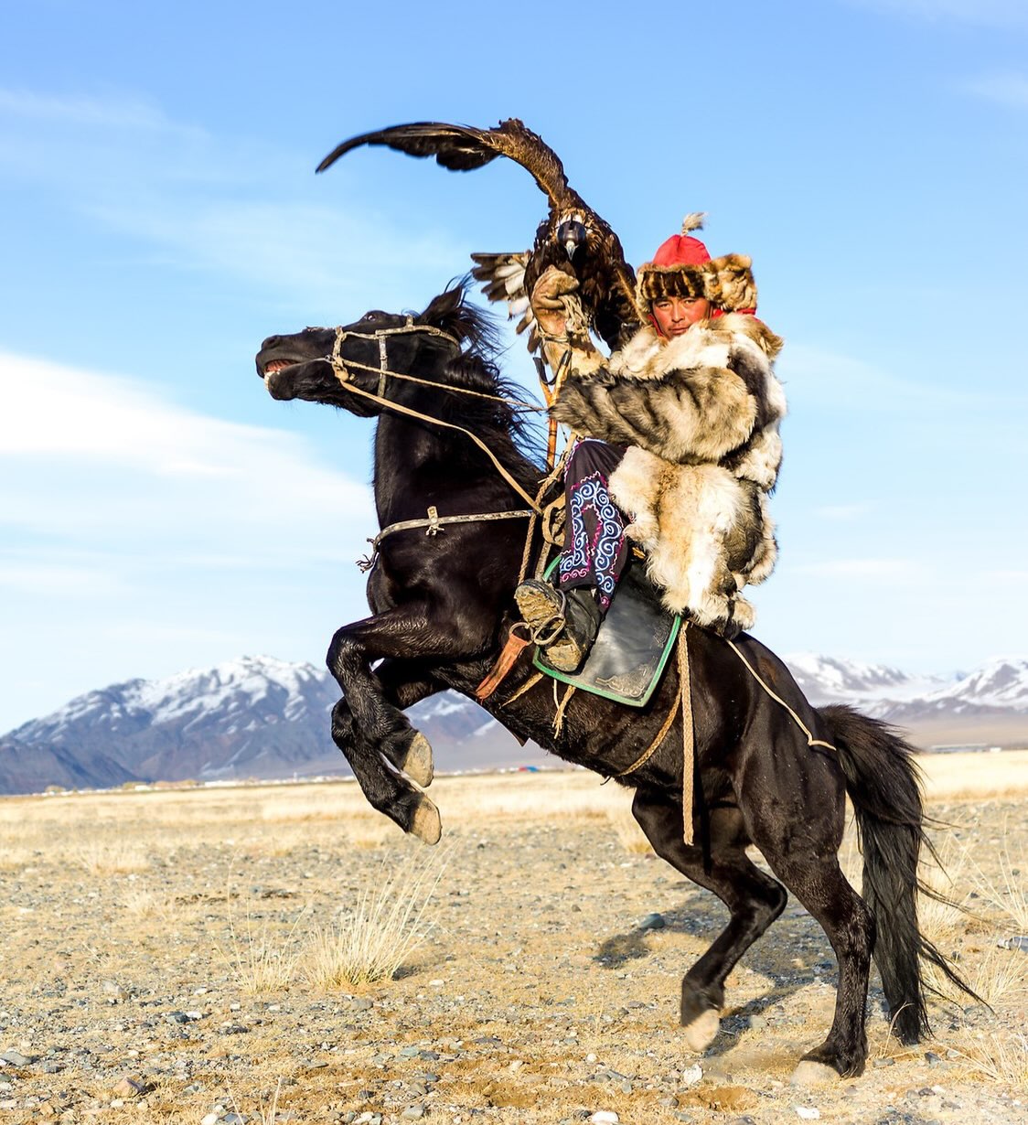 Photo of the day: Jenisbek, Mongolia 

akinmade.com/photos

#photoftheday #travelphotography