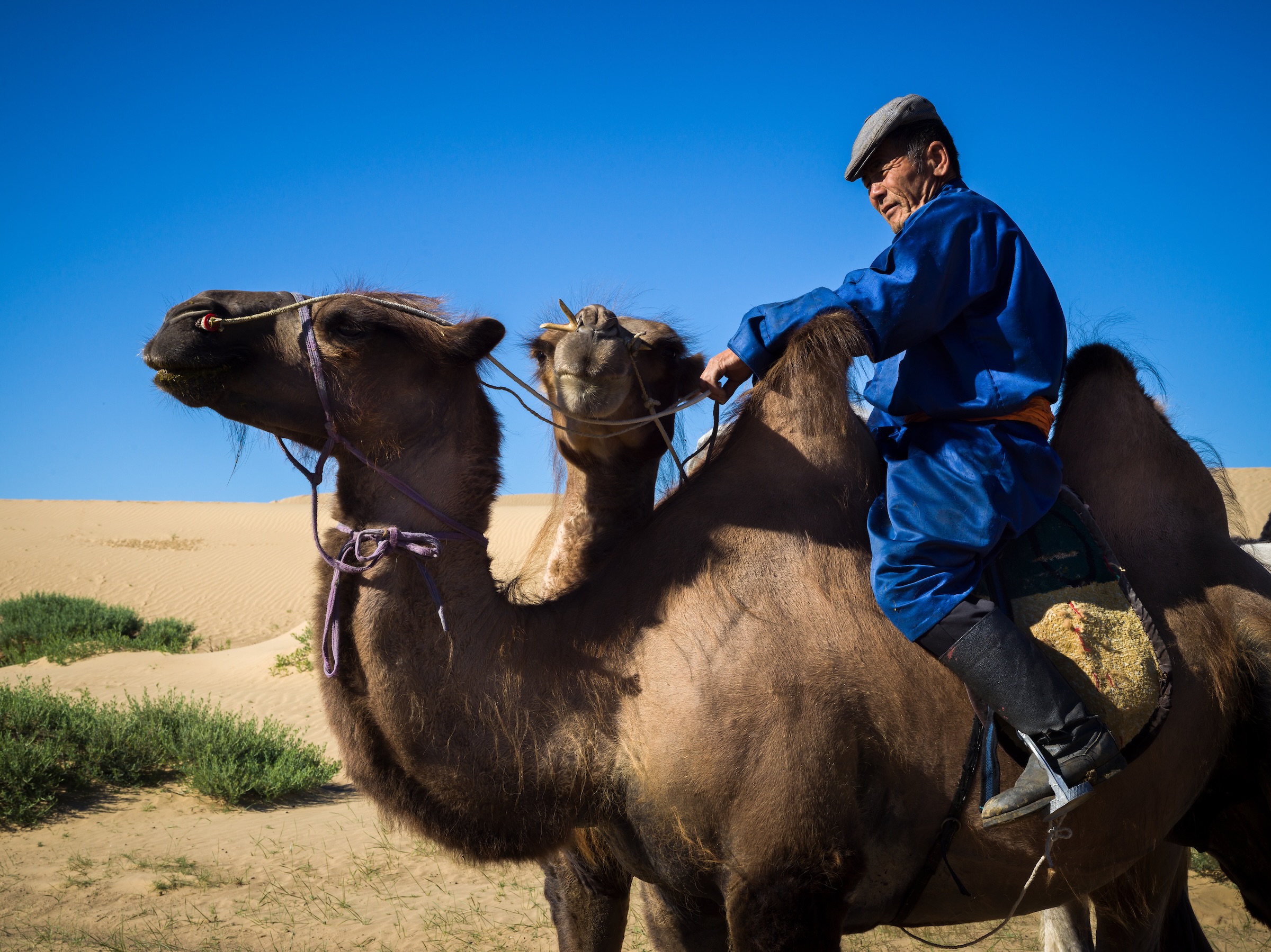 Photo of the day: Elsen Tasarkai, Mongolia

akinmade.com/photos

#photoftheday #travelphotography