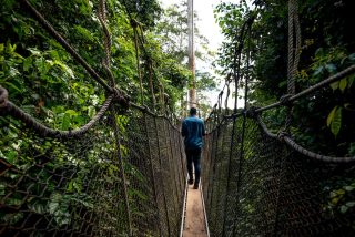 Photo of the day: Kakum, Ghana

akinmade.com/photos

#photoftheday #travelphotography