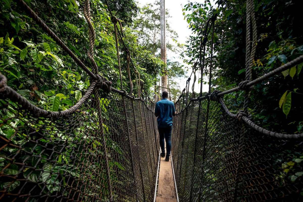 Photo of the day: Kakum, Ghana

akinmade.com/photos

#photoftheday #travelphotography