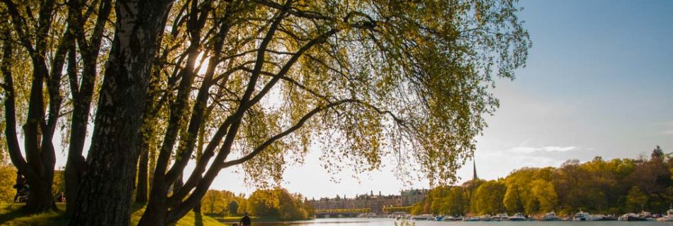 Djurgården, Stockholm - Travel photography by Lola Akinmade Akerstrom