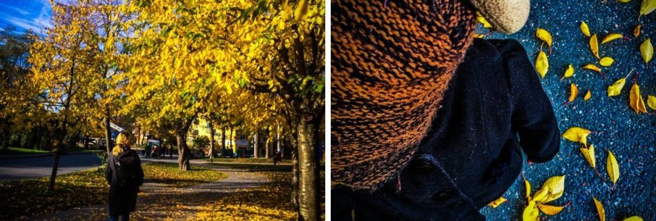 Autumn photography by Lola Akinmade Åkerström