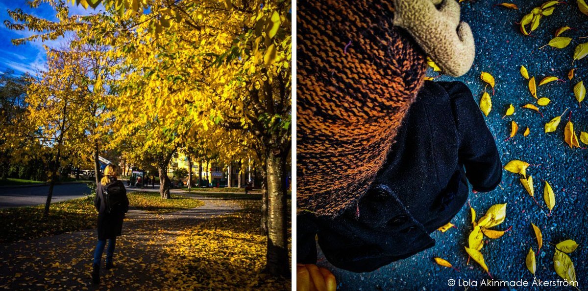 Autumn photography by Lola Akinmade Åkerström