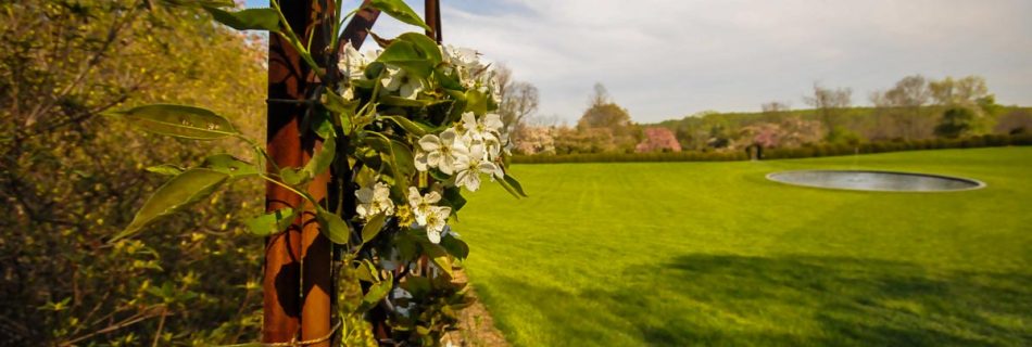 Ladew Gardens, Maryland - Landscape photography by Lola Akinmade Akerstrom