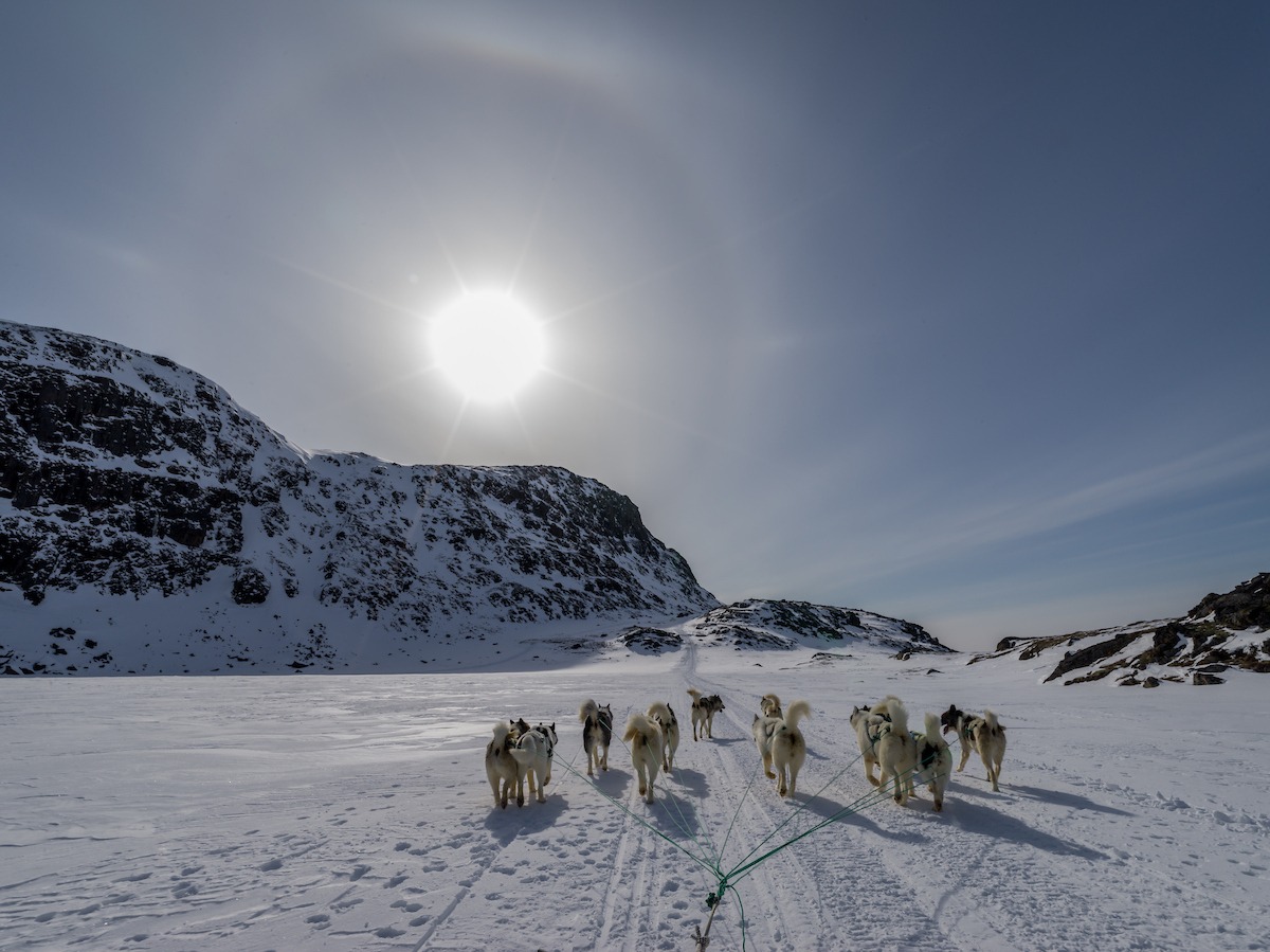 Photo of the day: Sisimiut, Greenland

akinmade.com/photos

#photoftheday #travelphotography