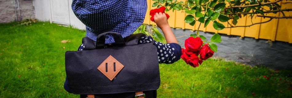 Photos from Öland, Sweden, by Lola Akinmade Åkerström