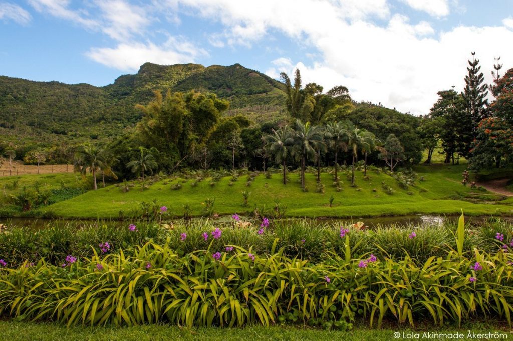 20 interior landscape photos of Mauritius Geotraveler's Niche Lola Akinmade Åkerström