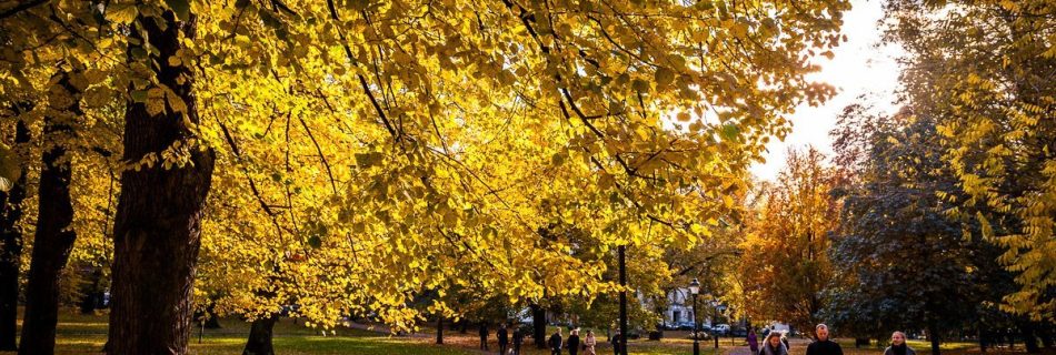 Strolling through Humlegården. Autumn in Stockholm