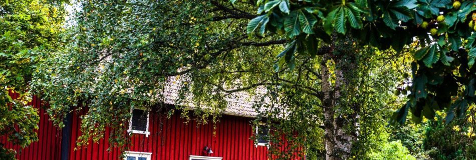 Classic red Swedish cottage