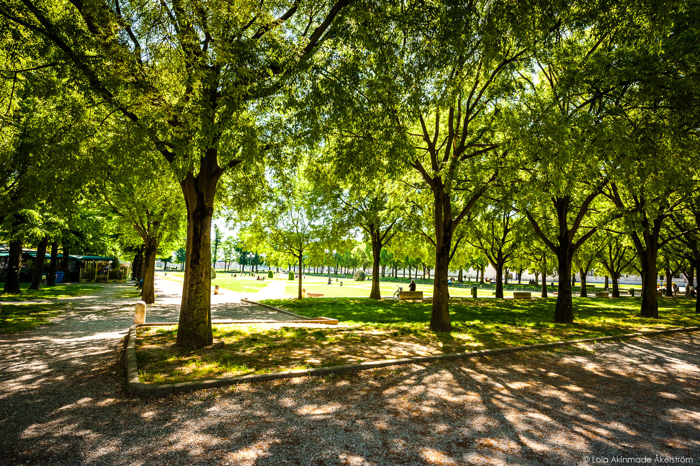 Street photos from Mantua, Italy