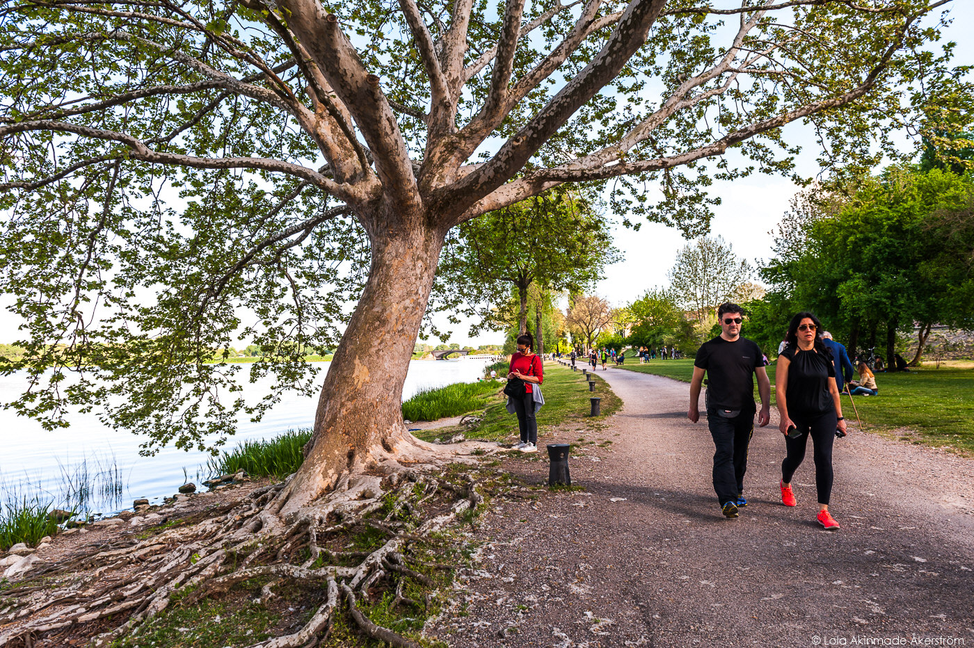 Street photos from Mantua, Italy