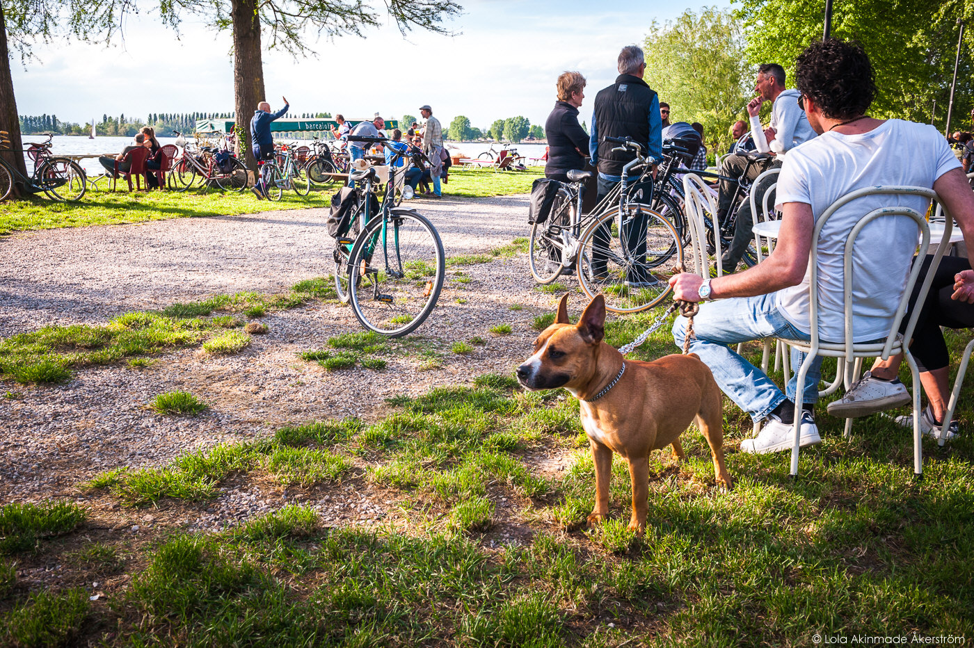 Street photos from Mantua, Italy