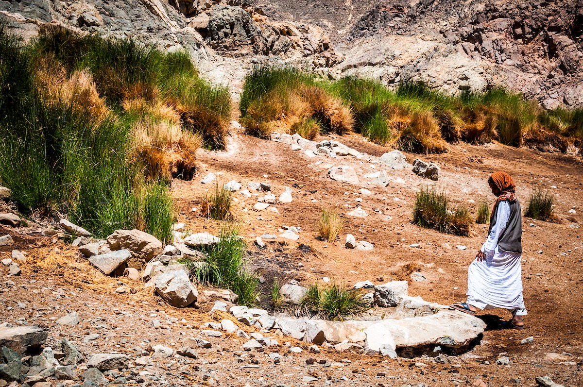 Photo of the day: Fustat, Egypt

akinmade.com/photos

#photoftheday #travelphotography