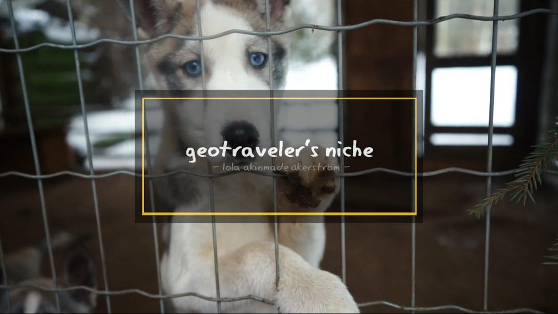 Video + Photos: Husky Sledding in Finland