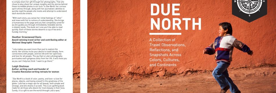 Due North - Lola Akinmade Akerstrom