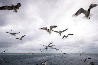 Photo of the day: Aruba

akinmade.com/photos

#photoftheday #travelphotography