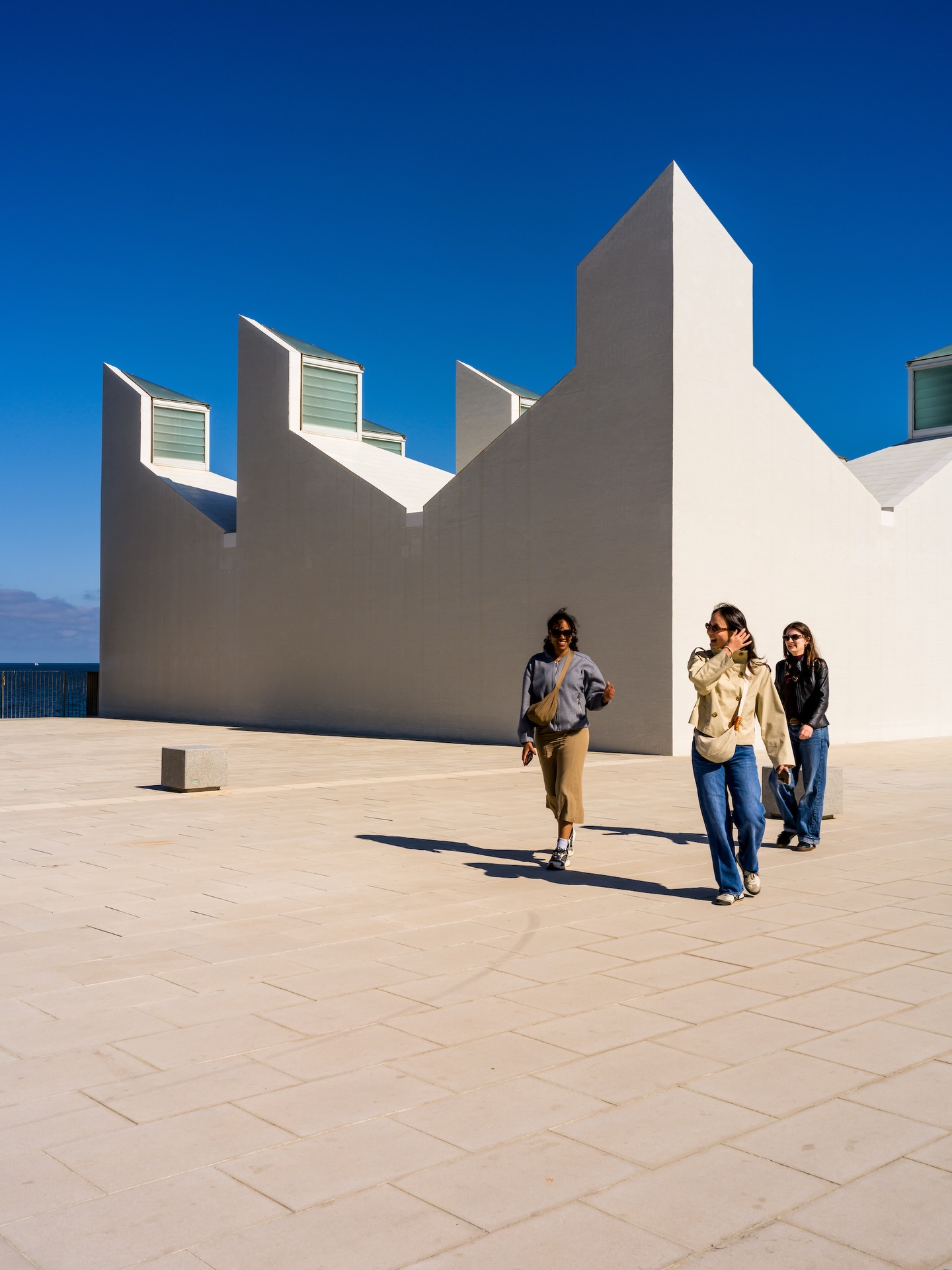 Chasing architecture.

Centre Municipal de Vela de Barcelona, Port Olímpic.

#barcelona #waterfront #architecture #structure #streetphotography